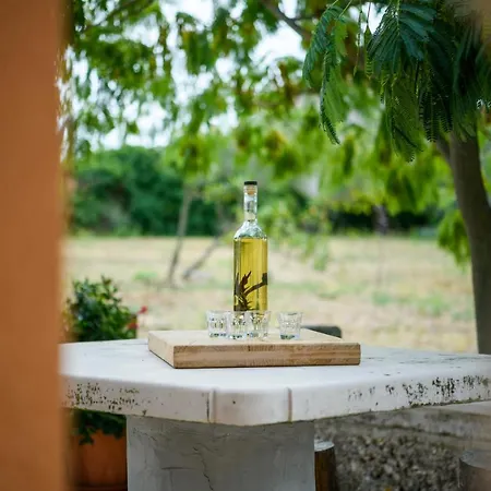 Villa Percan - Spacious Family Home With Private Pool On A 4000 Square Meter Plot Holiday home Krnica